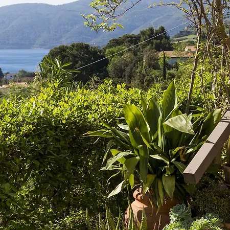 Monserrato - Goelba Сasa de vacaciones Porto Azzurro
